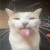lil_bug_snax